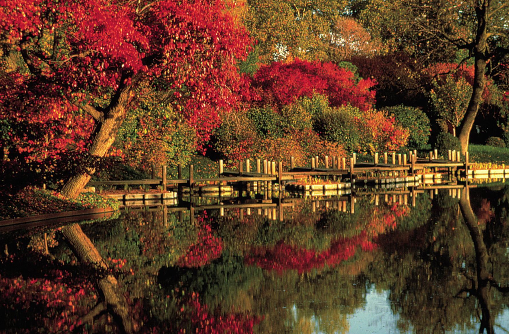 Missouri Botanical Garden in autumn